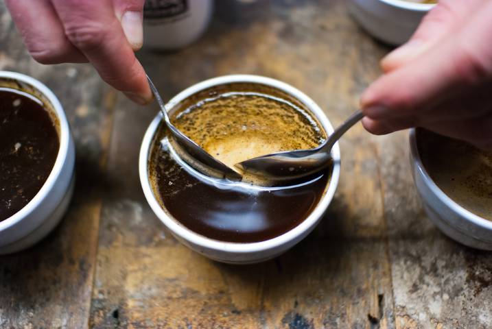 Ozone Coffee Cupping Experience