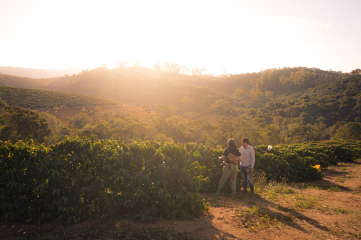 Coffee Farming