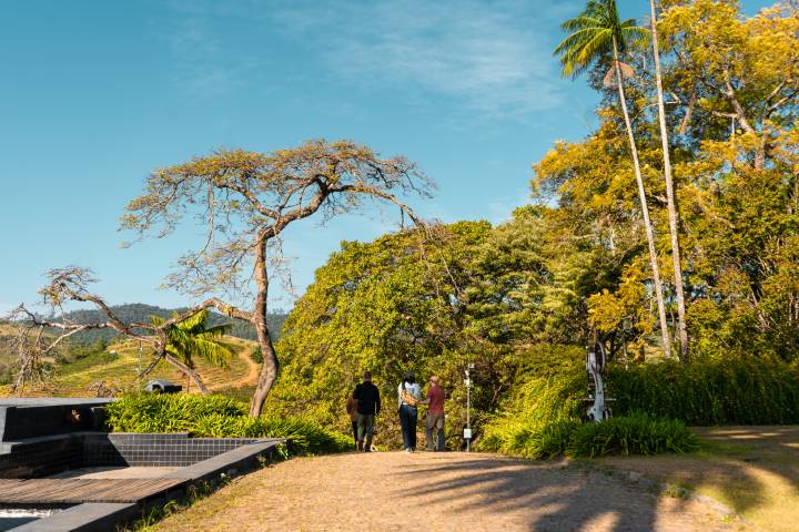 Direct trade coffee farmers