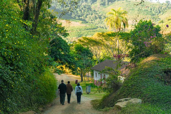 Direct trade coffee farmers